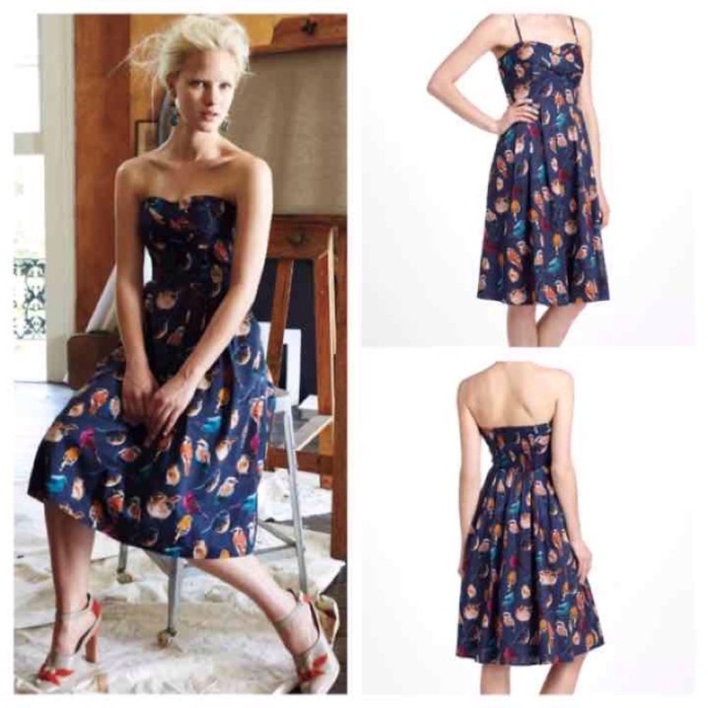 Native Birds Dress